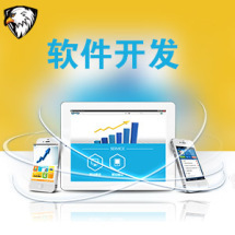 軟件外包服務全解析 報價、收費模式與九品制服務分級